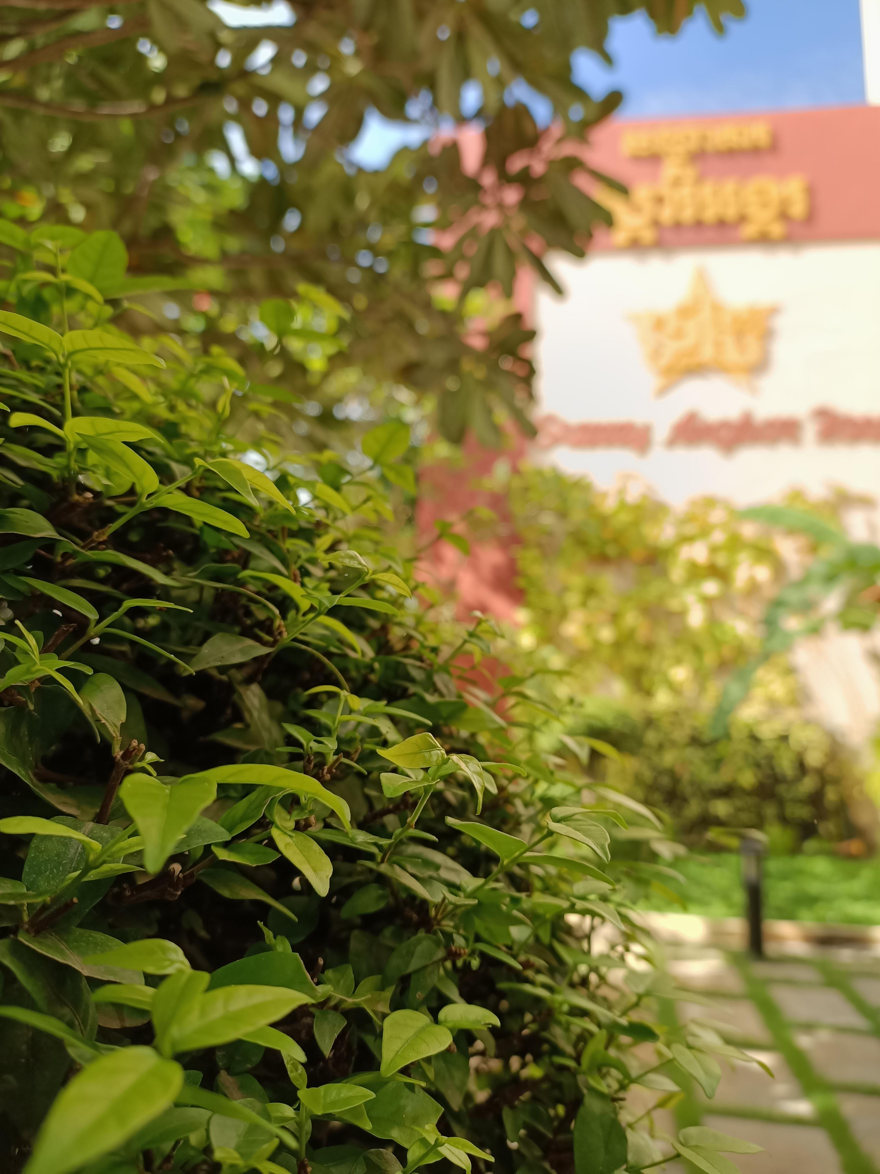 Starry Angkor Hotel Siem Reap Exterior foto