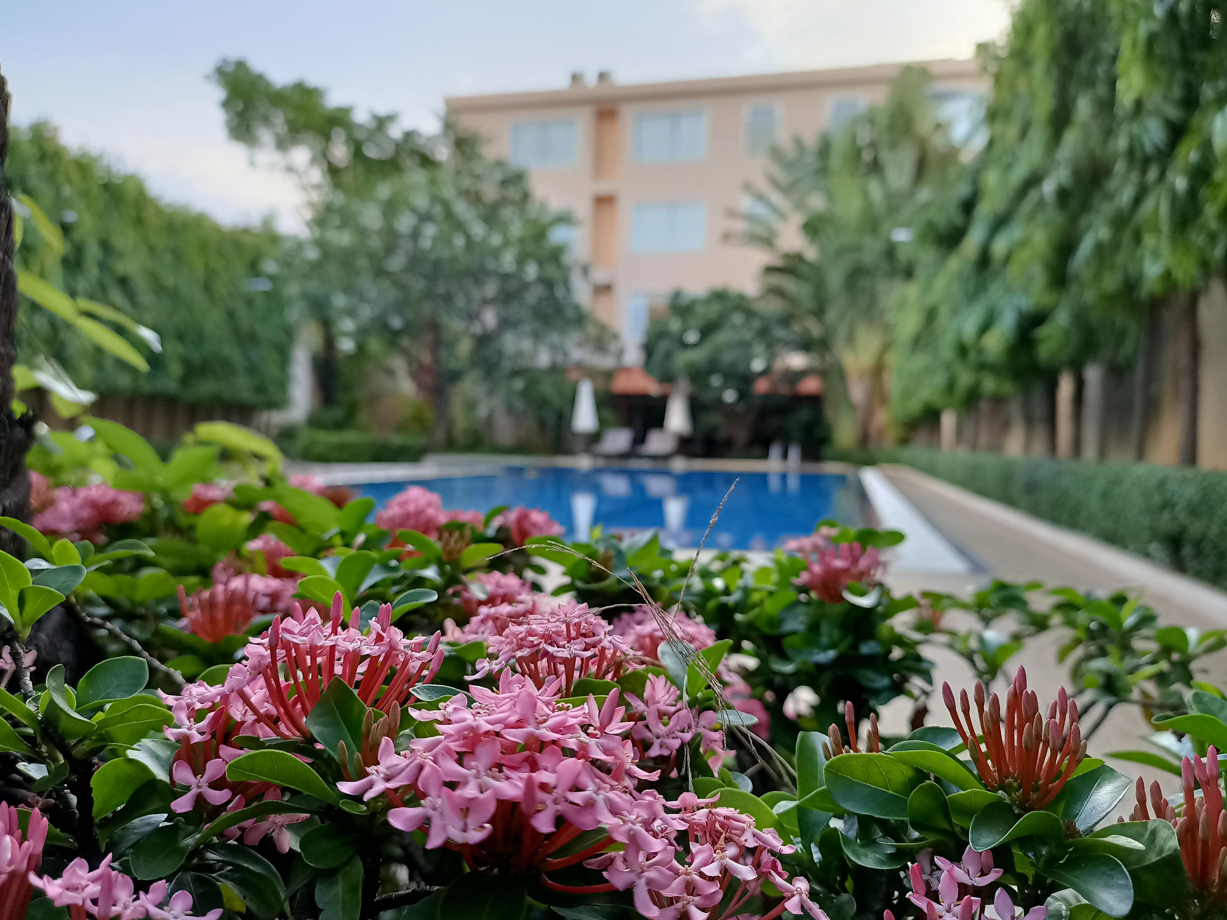 Starry Angkor Hotel Siem Reap Exterior foto