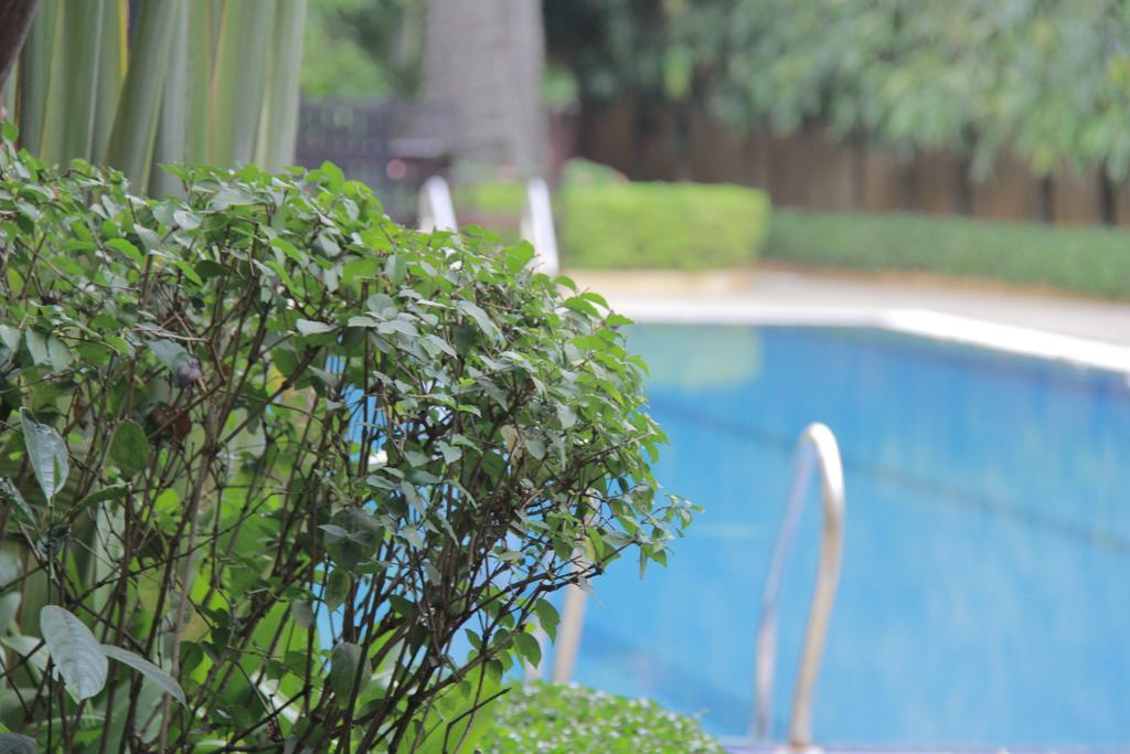 Starry Angkor Hotel Siem Reap Exterior foto